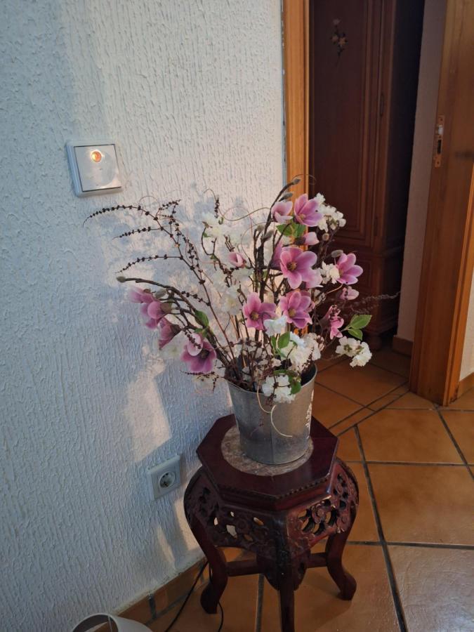 Hostal El Patio Restaurante San Bartolomé de Pinares Exteriér fotografie